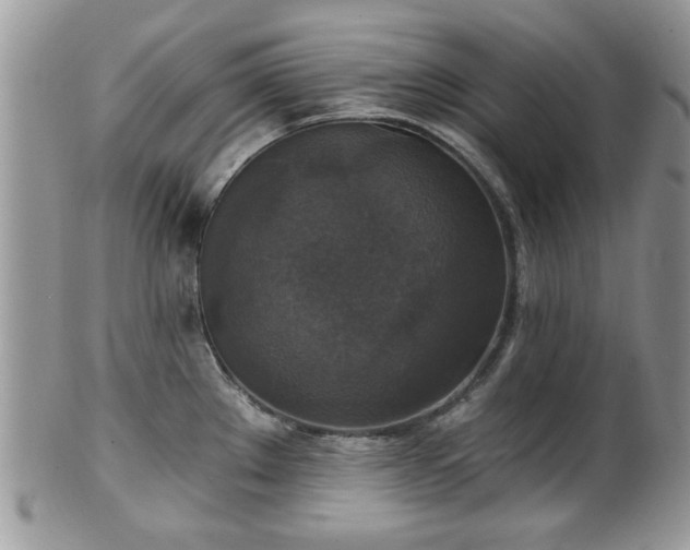X0000101971289200807251203