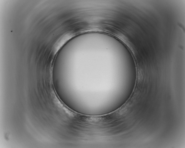 X0000101971290200807251203