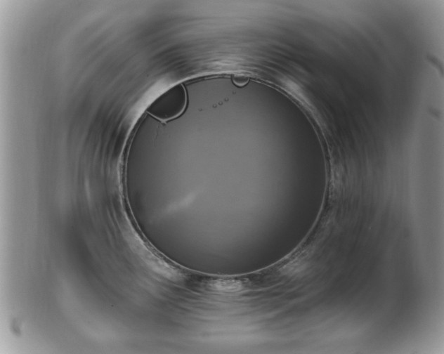 X0000101971291200807251203