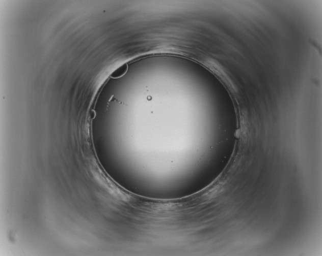 X0000101971292200807251203