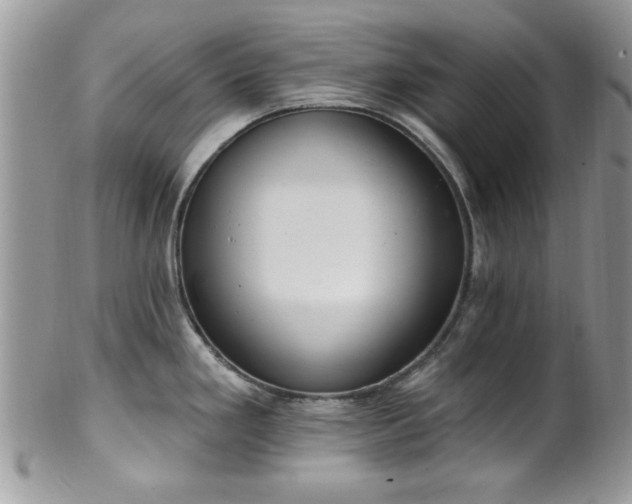 X0000101971293200807251202