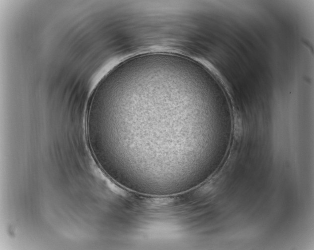 X0000101971294200807251202