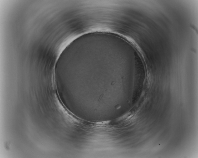 X0000101971295200807251202