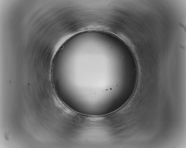 X0000101971296200807251202