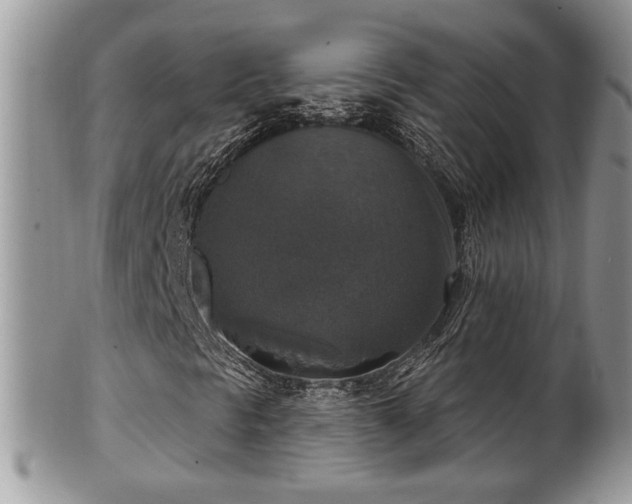 X0000101971297200807251202