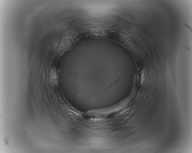 X0000101971298200807251202