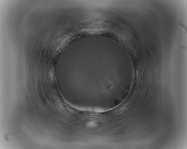 X0000101971300200807251202
