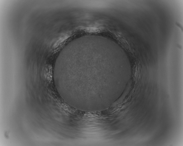X0000101971301200807251202