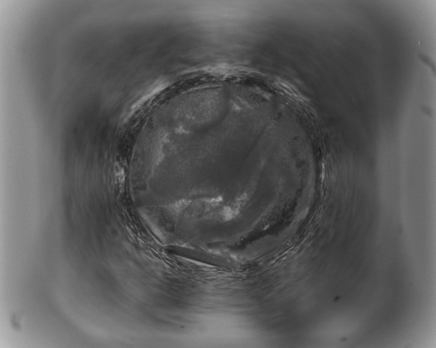 X0000101971302200807251202