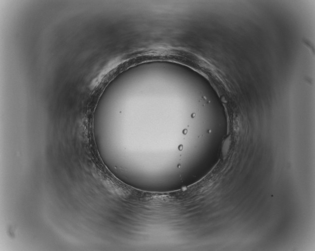 X0000101971304200807251202