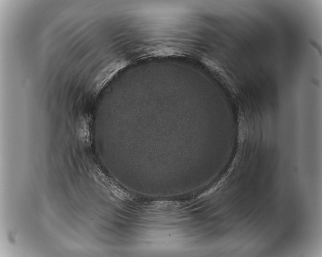 X0000101971305200807251202