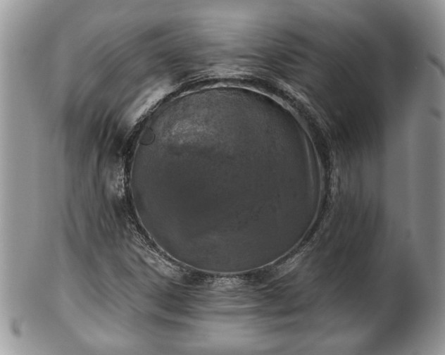 X0000101971306200807251202