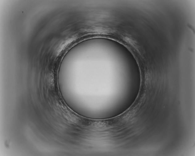 X0000101971307200807251202