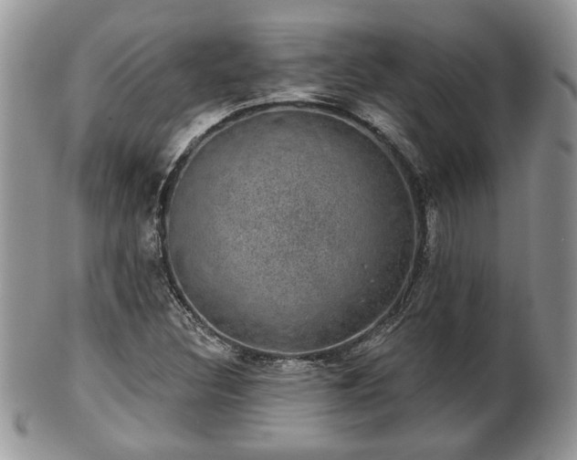 X0000101971308200807251202