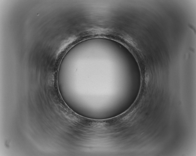 X0000101971309200807251202