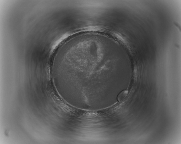 X0000101971310200807251202