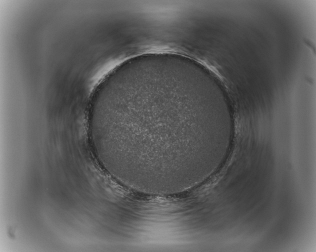 X0000101971311200807251202