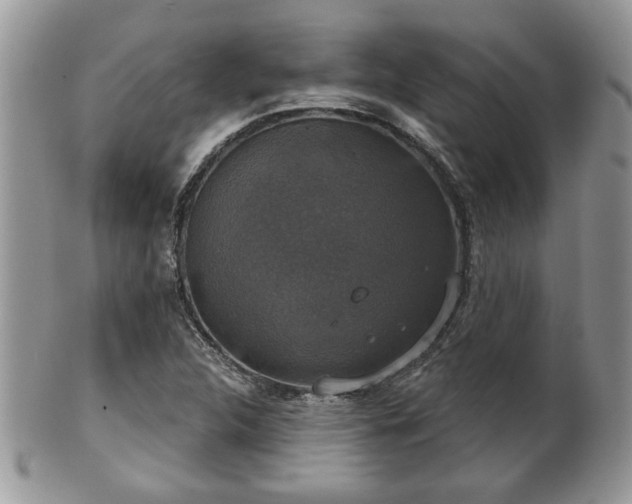 X0000101971312200807251202