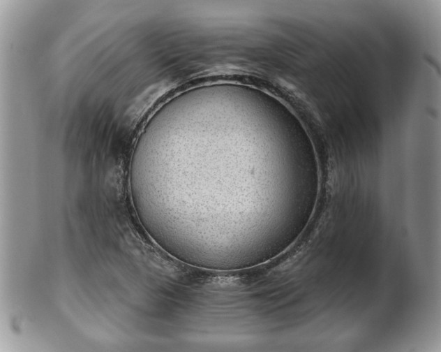 X0000101971313200807251202