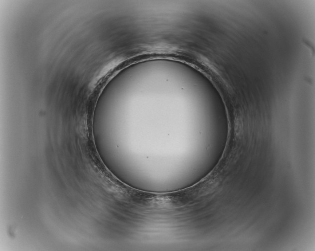 X0000101971315200807251202