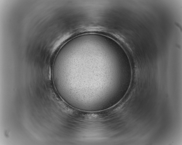X0000101971317200807251202