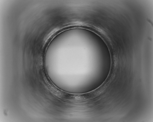 X0000101971318200807251202