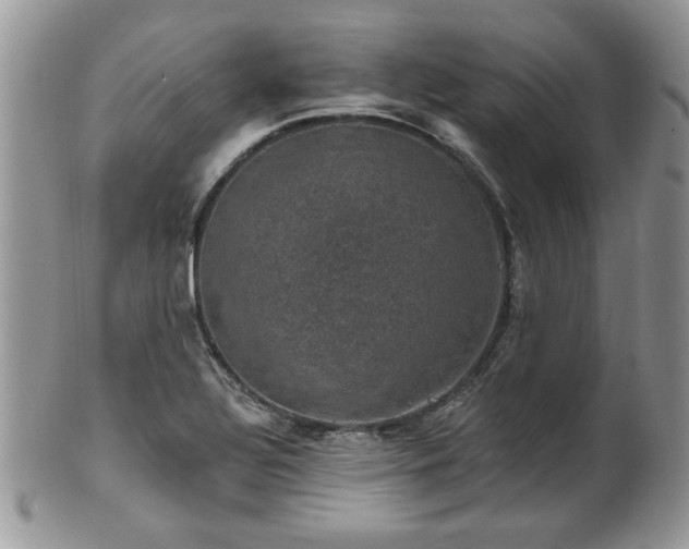 X0000101971320200807251202