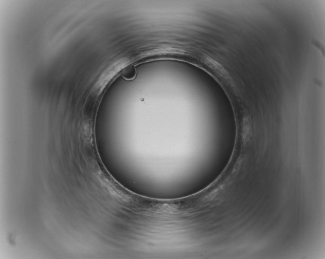 X0000101971321200807251202