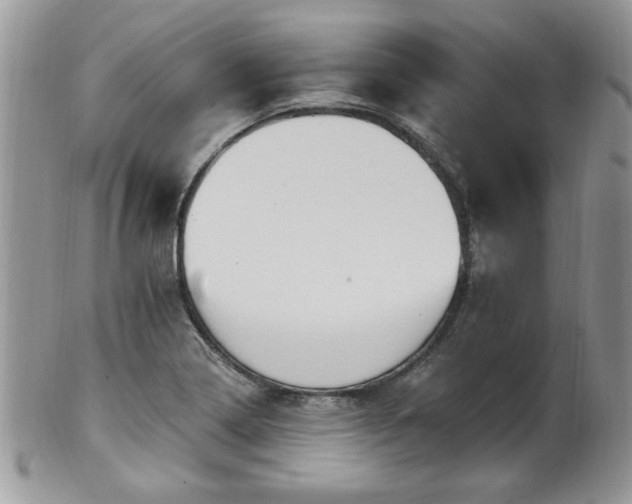 X0000101971322200807251202