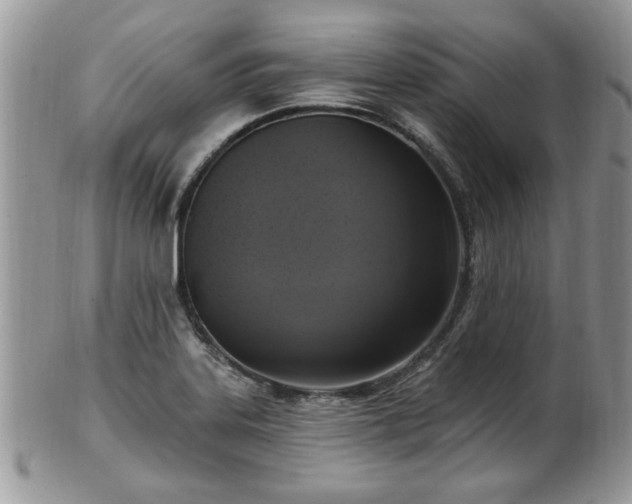 X0000101971323200807251202