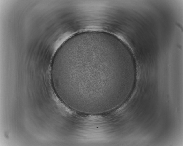 X0000101971325200807251202