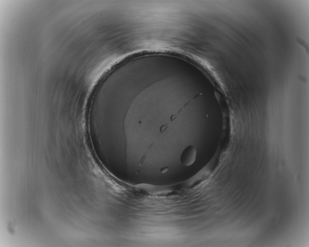 X0000101971327200807251202