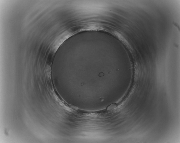 X0000101971329200807251202