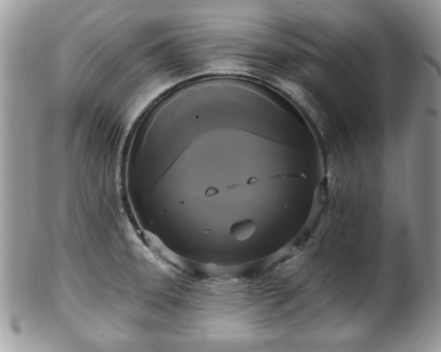 X0000101971331200807251202