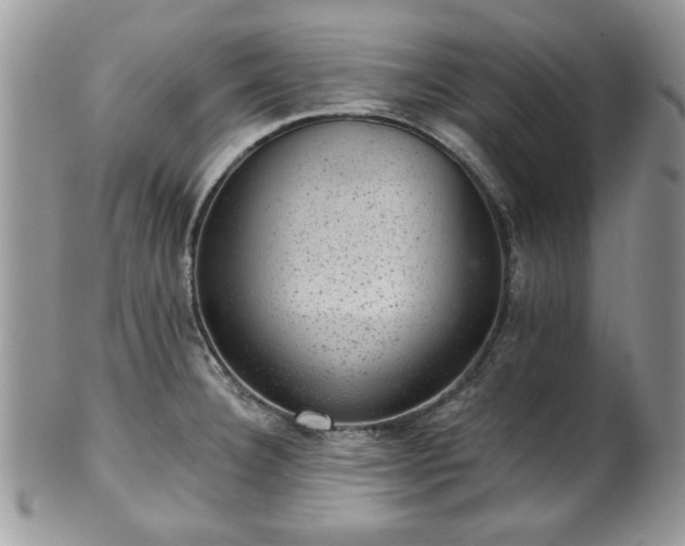 X0000101971332200807251202