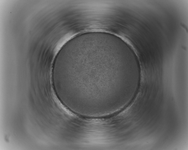 X0000101971333200807251202