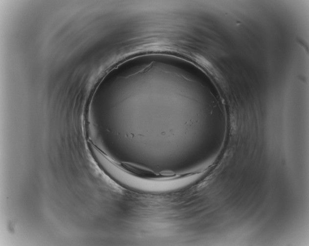 X0000101971334200807251202