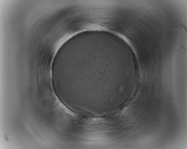 X0000101971335200807251202