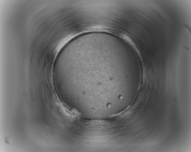 X0000101971336200807251202