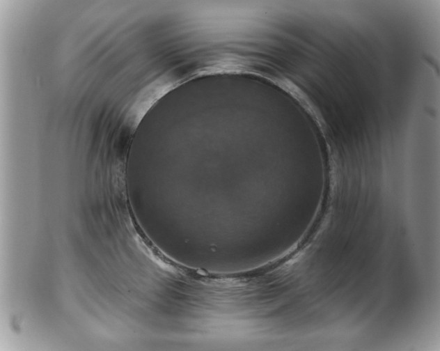 X0000101971337200807251202