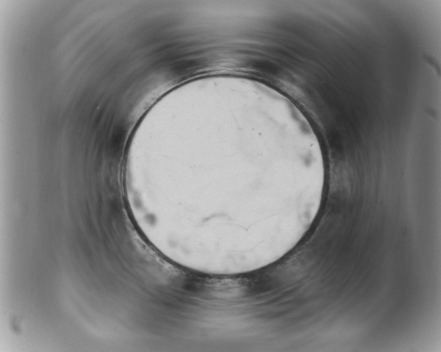 X0000101971338200807251202