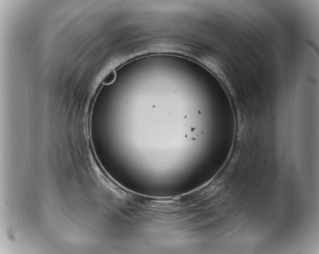 X0000101971342200807251202