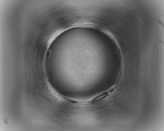 X0000101971344200807251202
