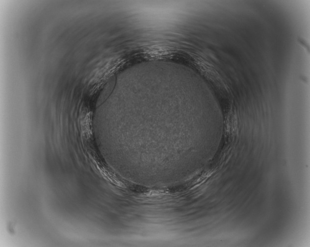 X0000101971346200807251202