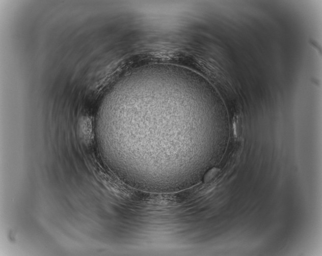 X0000101971347200807251202