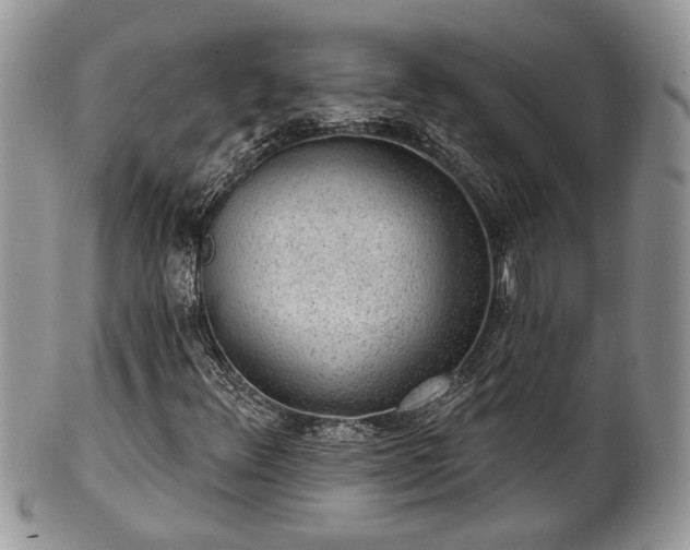 X0000101971348200807251202