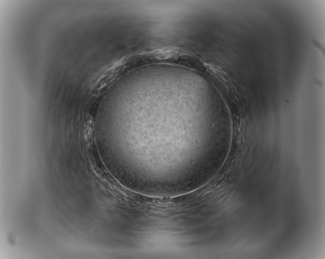 X0000101971349200807251202