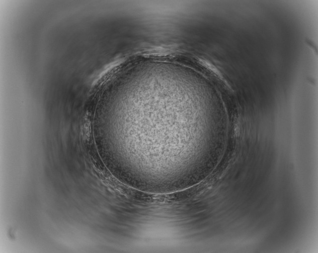 X0000101971350200807251202