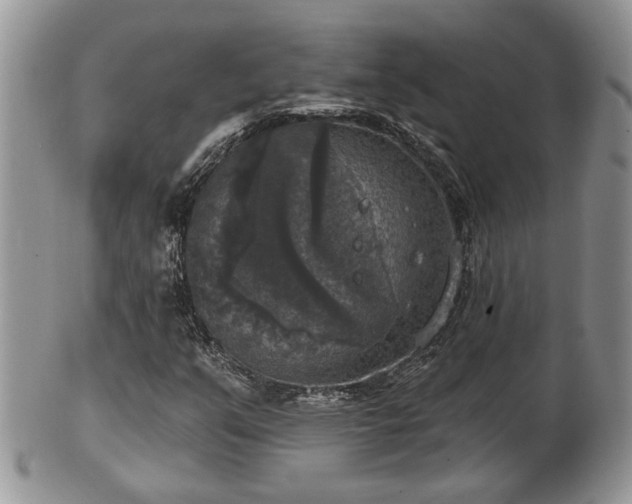 X0000101971351200807251201