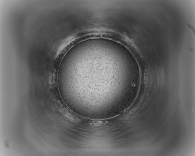 X0000101971352200807251201